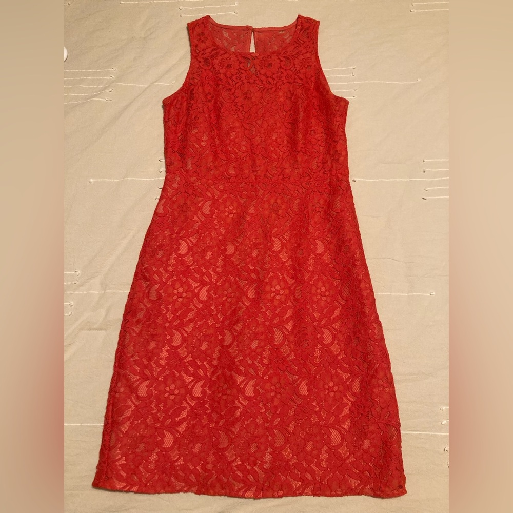 Beautiful JCrew lined lace cocktail dress